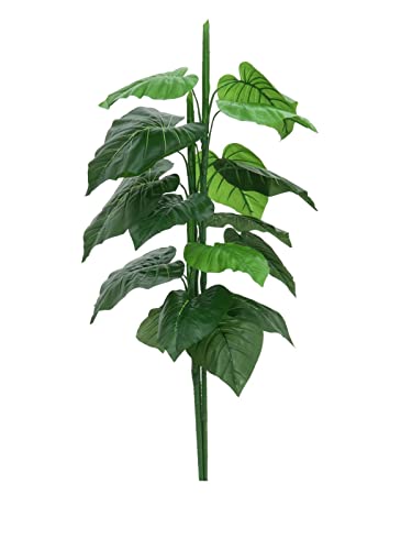 EUROPALMS 82508453 Caladium Pflanze, 90 cm, Mehrfarbig, Einheitsgröße von EUROPALMS
