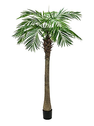 EUROPALMS Phönixpalme Luxor, Kunstpflanze, 150cm | Phönixpalme mit imposantem Blattwerk von EUROPALMS