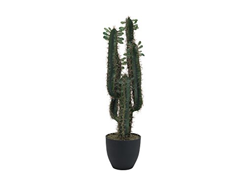 Europalms 82600067 Cactus Messicano mit Blättern, 75 cm, Mehrfarbig, Einheitsgröße von Europalms