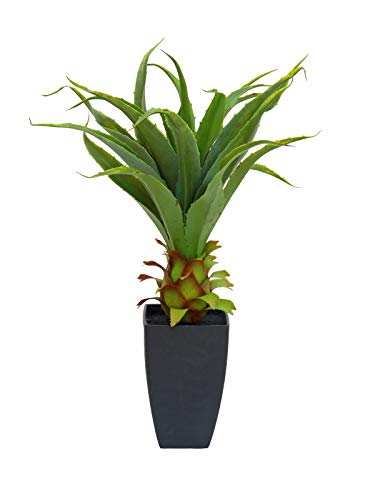 EUROPALMS Agave im Topf, Kunstpflanze, 75cm | Agave mit Topf von EUROPALMS