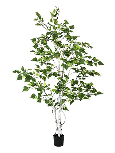 EUROPALMS Birkenbaum, Kunstpflanze, 150cm | Birkenbaum für vielseitige Dekorationen von EUROPALMS