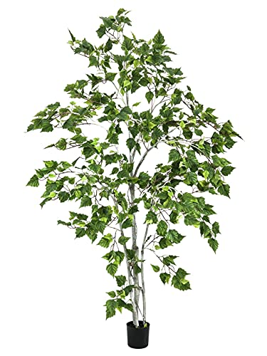 EUROPALMS Birkenbaum, Kunstpflanze, 180cm | Birkenbaum für vielseitige Dekorationen von EUROPALMS