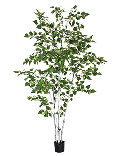 EUROPALMS Birkenbaum, Kunstpflanze, 210cm | Birkenbaum für vielseitige Dekorationen von EUROPALMS