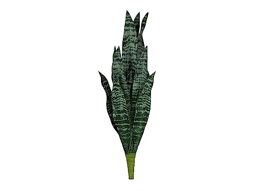 EUROPALMS Bogenhanf (Eva), künstlich, grün, 60cm | Sansevieria mit Soft-Touch-Blättern als ideale Raumbegrünung von EUROPALMS