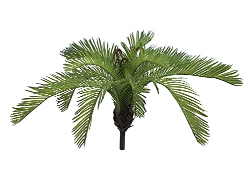 EUROPALMS Cycasfarn, Kunstpflanze, 50 cm | Cycus-Farn für Innen- und Außendekoration von EUROPALMS