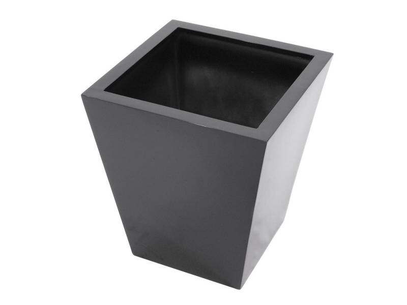 EUROPALMS Dekoobjekt EUROPALMS LEICHTSIN BASIC-50, schwarz, glänzend von EUROPALMS