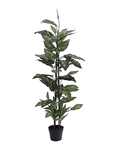 EUROPALMS Dieffenbachia, künstlich, 120cm | Naturgetreue Blätter, ideal für Gestecke von EUROPALMS