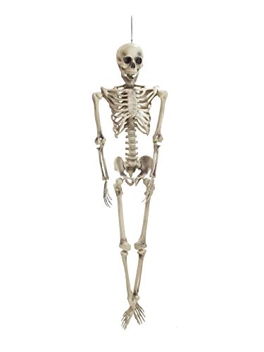 EUROPALMS Halloween Skelett | zum Aufhängen oder Legen | Höhe: 163 cm von EUROPALMS