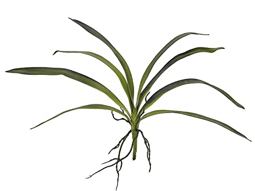 EUROPALMS Orchideenblatt (Eva), künstlich, grün, 45cm | Soft-Touch-Orchideenblätter mit Wurzeln von EUROPALMS