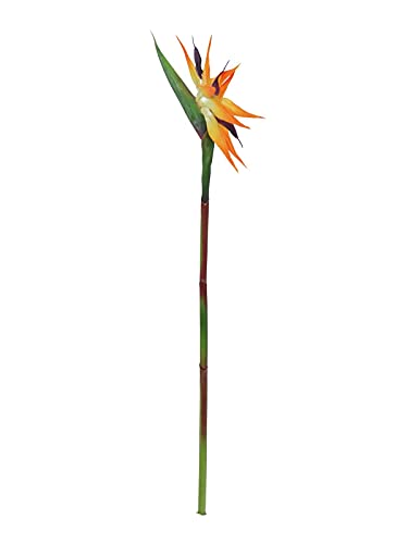 EUROPALMS Paradiesvogel-Blume, Kunstpflanze, orange, 95cm | Als Einzeldekoration oder in Kombination mit Anderen Grünpflanzen von EUROPALMS