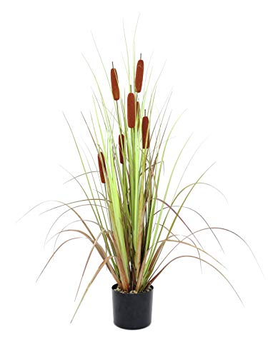 EUROPALMS Rohrkolben, Kunstpflanze, 120cm | Krautig wachsende Sumpf- und Wasserpflanze aus Kunststoff von EUROPALMS
