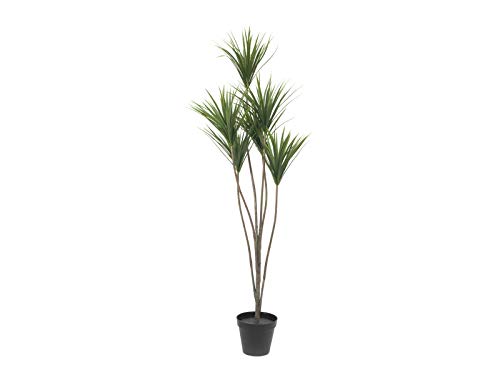 EUROPALMS Yucca Palme, Kunstpflanze, 130cm | Palmlilie aus hochwertigem Kunststoff von EUROPALMS