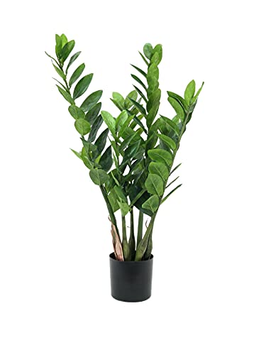 EUROPALMS Zamifolia, Kunstpflanze, 70cm | Dekorative Zamifolia von EUROPALMS