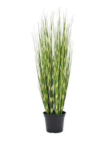 EUROPALMS Zebragras, künstlich, 90cm | Selbstständig in Form fallend EUROPALMS Zebragras, künstlich, 90cm | Selbstständig in Form fallend von EUROPALMS