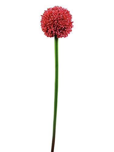 EUROPALMS Alliumzweig, künstlich, rot, 55cm | Einzelne Lauchblüte von EUROPALMS