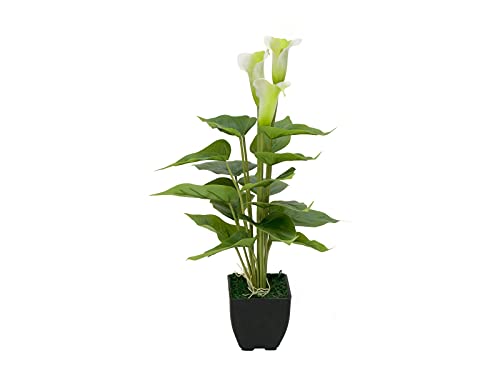 EUROPALMS Calla mini, Kunstpflanze, weiß, 43cm | Zimmerpflanze im Blumentopf von EUROPALMS