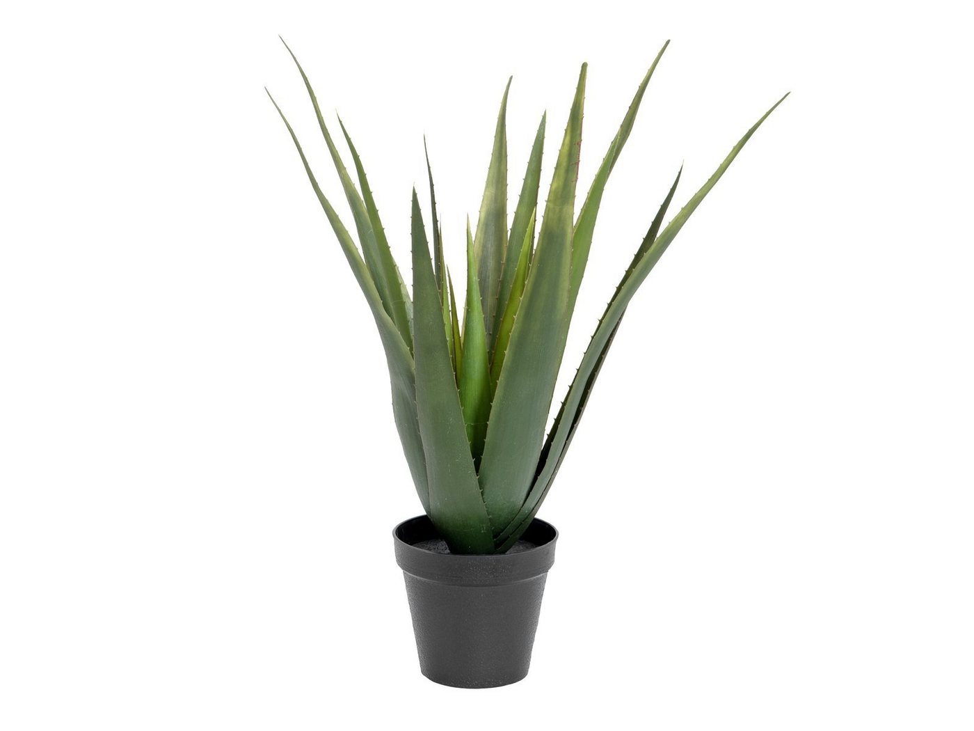 Kunstpflanze Aloe-Vera Pflanze, Kunstpflanze, 60cm Aloe Vera, EUROPALMS, Höhe 60 cm von EUROPALMS