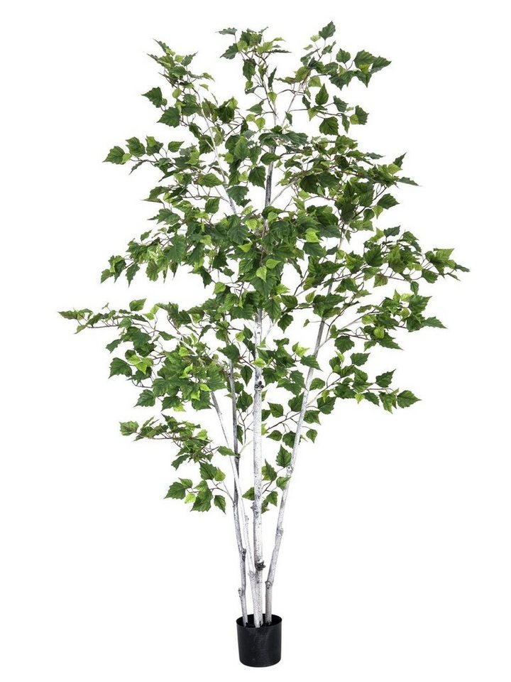 Kunstpflanze Birkenbaum Birke, EUROPALMS, Höhe 150 cm, verschiedene Größen erhältlich von EUROPALMS