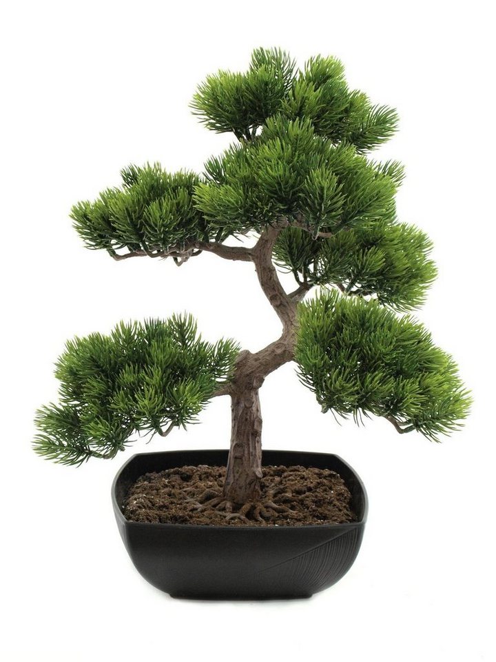 Kunstpflanze Bonsai-Pinie Bonsai, EUROPALMS, Höhe 50 cm von EUROPALMS