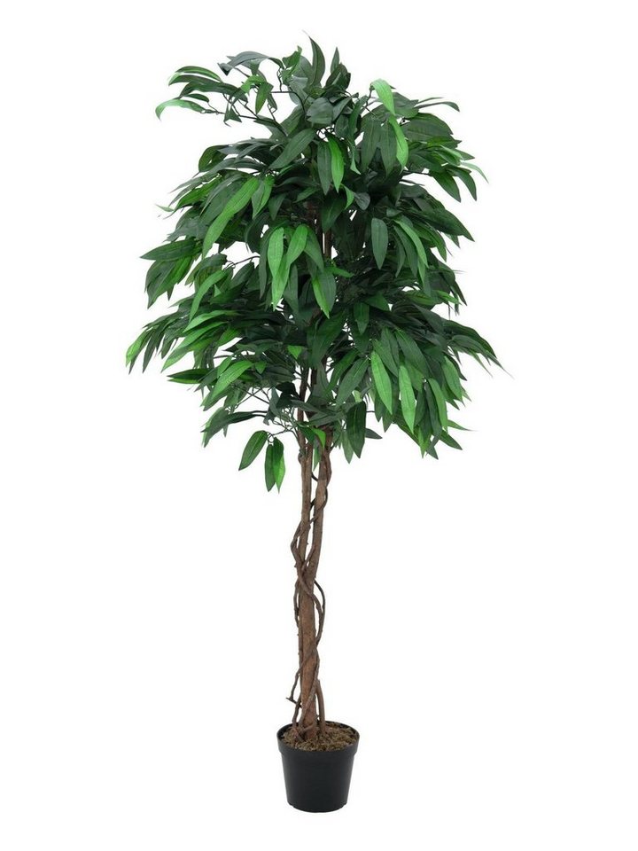 Kunstpflanze Dschungelbaum Mango Mangobaum, EUROPALMS, Höhe 150 cm, verschiedene Größen erhältlich von EUROPALMS