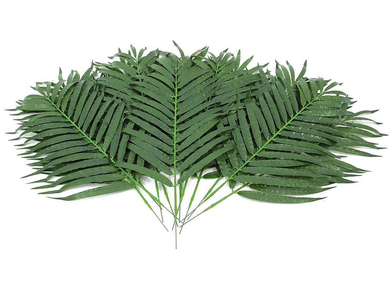 Kunstpflanze EUROPALMS Kokos-Palmwedel, künstlich, 80cm 12x, EUROPALMS von EUROPALMS