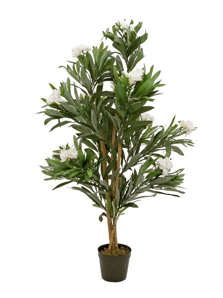 Kunstpflanze Oleanderbaum Oleander, EUROPALMS, Höhe 120 cm, verschiedene Größen erhältlich von EUROPALMS