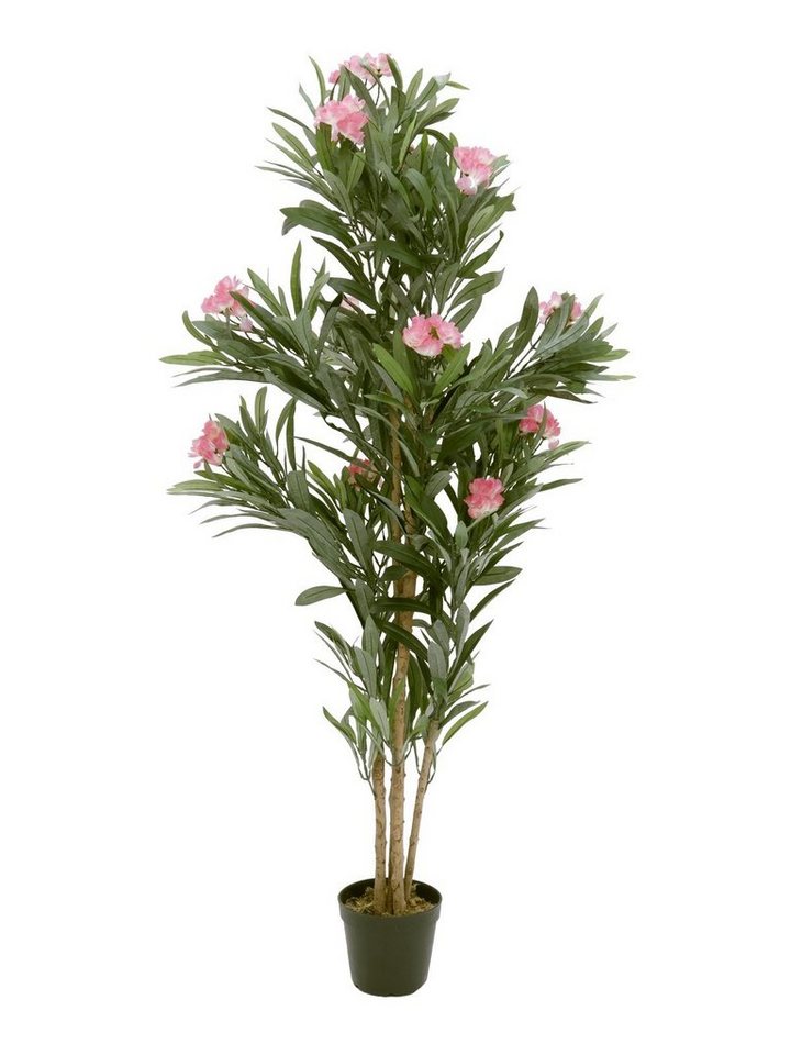 Kunstpflanze Oleanderbaum Oleander, EUROPALMS, Höhe 150 cm, verschiedene Größen erhältlich von EUROPALMS