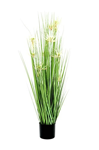 EUROPALMS 82600144 Gras Stella, 105 cm, Mehrfarbig, Einheitsgröße von EUROPALMS