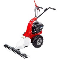 Eurosystem Briggs & Stratton M90 Balkenmäher von EUROSYSTEMS