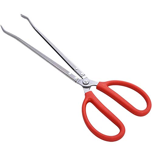 EUROXANTY® Grillzange, Krabbelzange, Grillzange, Meeresfrüchte, rutschfest, Strand, Edelstahl, 38 cm von EUROXANTY