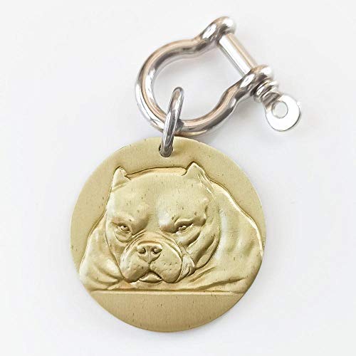 Personalisierte Hundemarke Messing 3D-Modell Reinrassige Hunde Vorne Hinten Bild Laser Deep Carving American Bully Labrador-American Bully-34 mm (1,34 Zoll)- von EUSFIYY