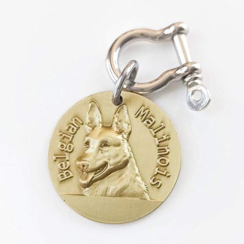 Personalisierte Hundemarke Messing 3D-Modell Reinrassige Hunde Vorne Hinten Bild Laser Deep Carving American Bully Labrador-Belgian Malinois-34 mm (1,34 Zoll)- von EUSFIYY