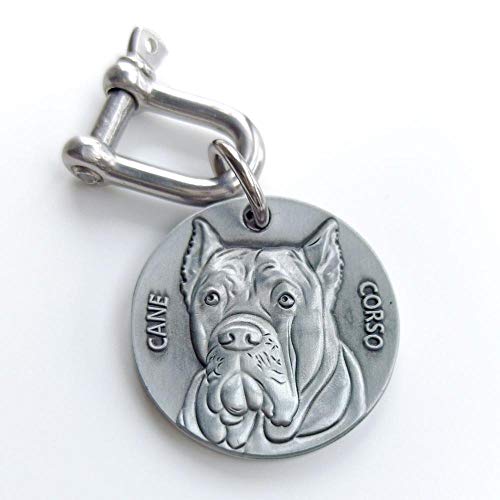 Personalisierte ID-Tag für mittelgroße Hunde Kupfer-Nickel-Gravur für große Hunde Halsband   Deutscher Schäferhund Bullterrier Labrador-CANE CORSO-34mm (1,34 Zoll)- von EUSFIYY