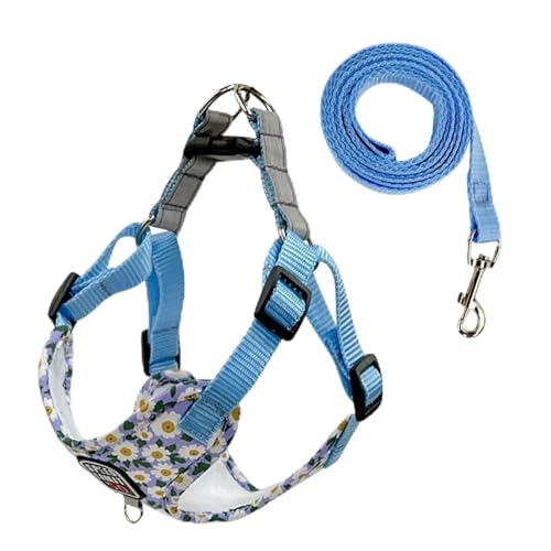 Hundegeschirr für Haustiere, Hundegeschirr aus Nylon, reflektierender Brustgurt für Hunde, atmungsaktiv, verstellbar, Haustierhalsband für kleine Hunde (blau, XL) von EUTYRG