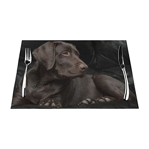 Brauner Labrador Retriever Platzdeckchen Set von 6 hitzebeständigen, bedruckten gewebten Tischsets waschbar Tischsets für Esstisch Platzsets Standardgröße 1 für Küchentisch von EVANEM