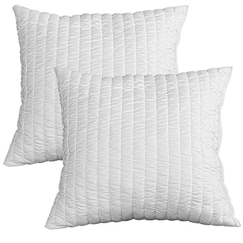 EVERGREENWEB 2er Set Memory Foam Kissen für Betten oder Sofas (Lieferung 24h, 2er Set Memory 80x80cm) von EVERGREENWEB MATERASSI & BEDS