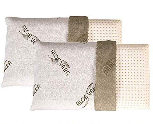 EVERGREENWEB 2er- Set Pack von Kissen für Betten aus Memory Flocken, 15 cm Hoch, Extra Weich, Gänsefeder-Effekt, Hypoallergene Polsterung, Anti-Milben, Waschbarer Bezug (2X Aloe Vera 40 x 70 cm) von EVERGREENWEB MATERASSI & BEDS