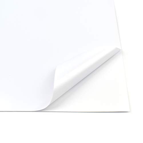 Evergreen Goods Selbstklebende selbstklebende Vinyl-Bögen (210 x 297 mm), selbstklebende Rückseite, Kunststoff, Stanzmaschinen, laserbedruckbar, Valentinstagsgeschenke, A4, 10 Stück von EVG