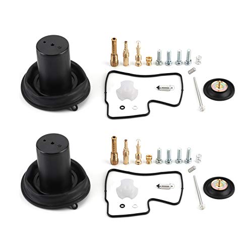 2 Sätze Vergaser-Reparatursatz, Vergaser Vergaser Wiederaufbau Satz, Vergaser Wartungswerkzeug Passend für VLX600 / VT600 1994-2003 von EVGATSAUTO