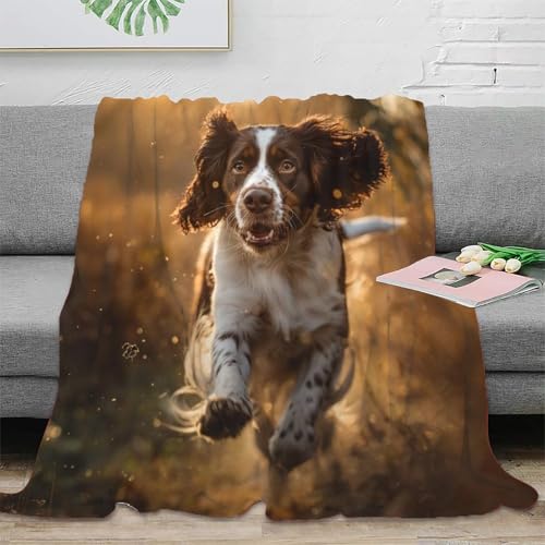 English Springer Spaniel Couchdecke Fleecedecke Sofadecke 3D Druck Decke Tagesdecke Flauschig Warm Bett Decken Weichen Flauschig Kuscheldecke for Erwachsene er 60x80inch(150x200cm) von EVMILA