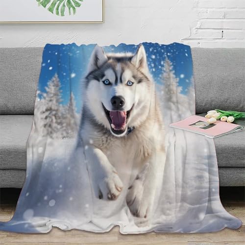 Husky Wohndecke Sofadecke 3D Druck Fleecedecke Couchdecke Kuscheldecke Tagesdecke Weichen Flauschig Bett Decken Flauschig Warm for Erwachsene er 80x90inch(200x230cm) von EVMILA