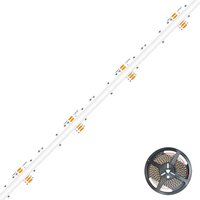 EVN Lichttechnik COB LED-Stripe 5m 3000K C2024320159902 von EVN Lichttechnik