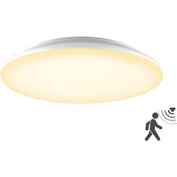EVN Lichttechnik LED-Anbauleuchte m. Bewegungsmelder L40300125BM von EVN Lichttechnik