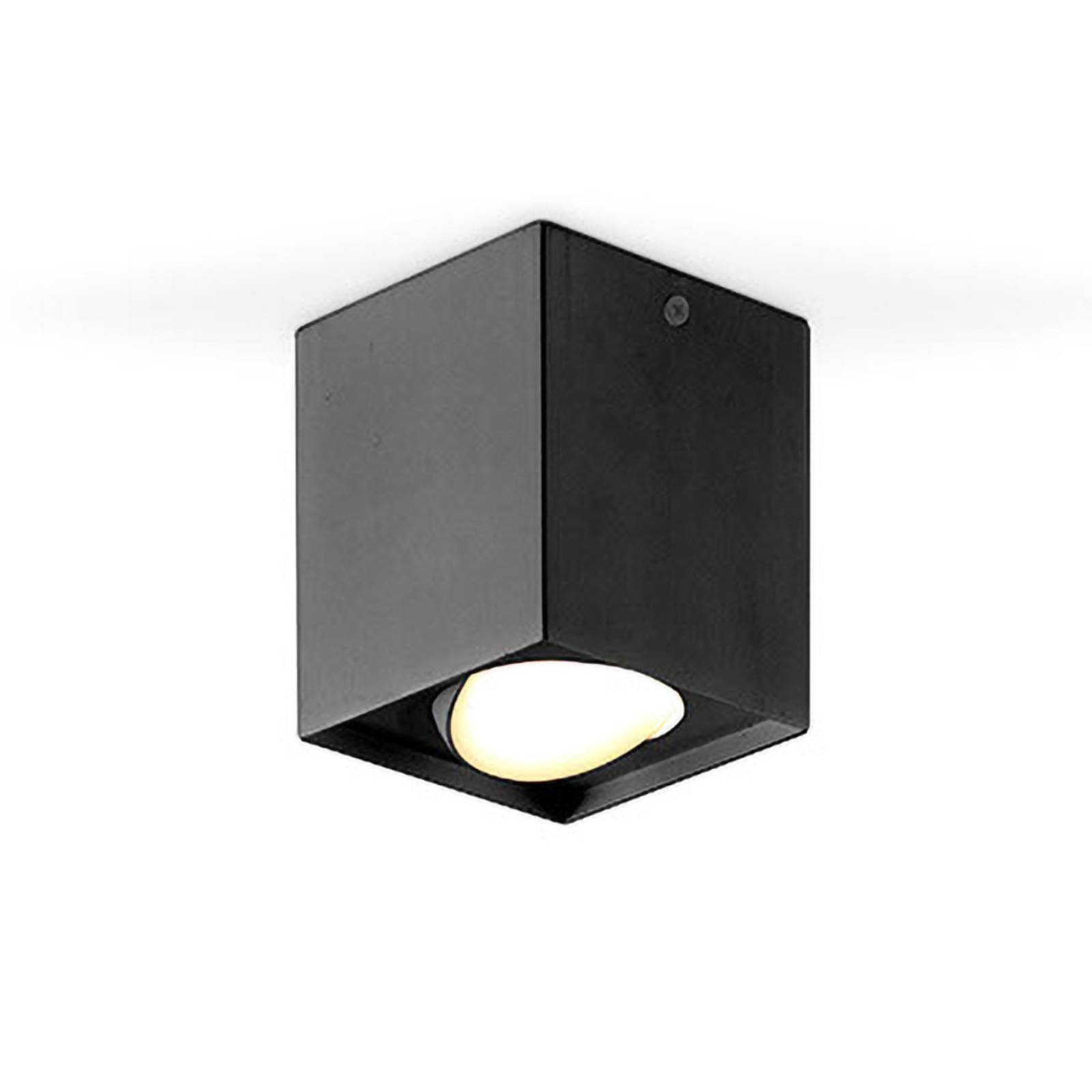 EVN Kardanus LED-Deckenleuchte, 9x9cm, schwarz von EVN