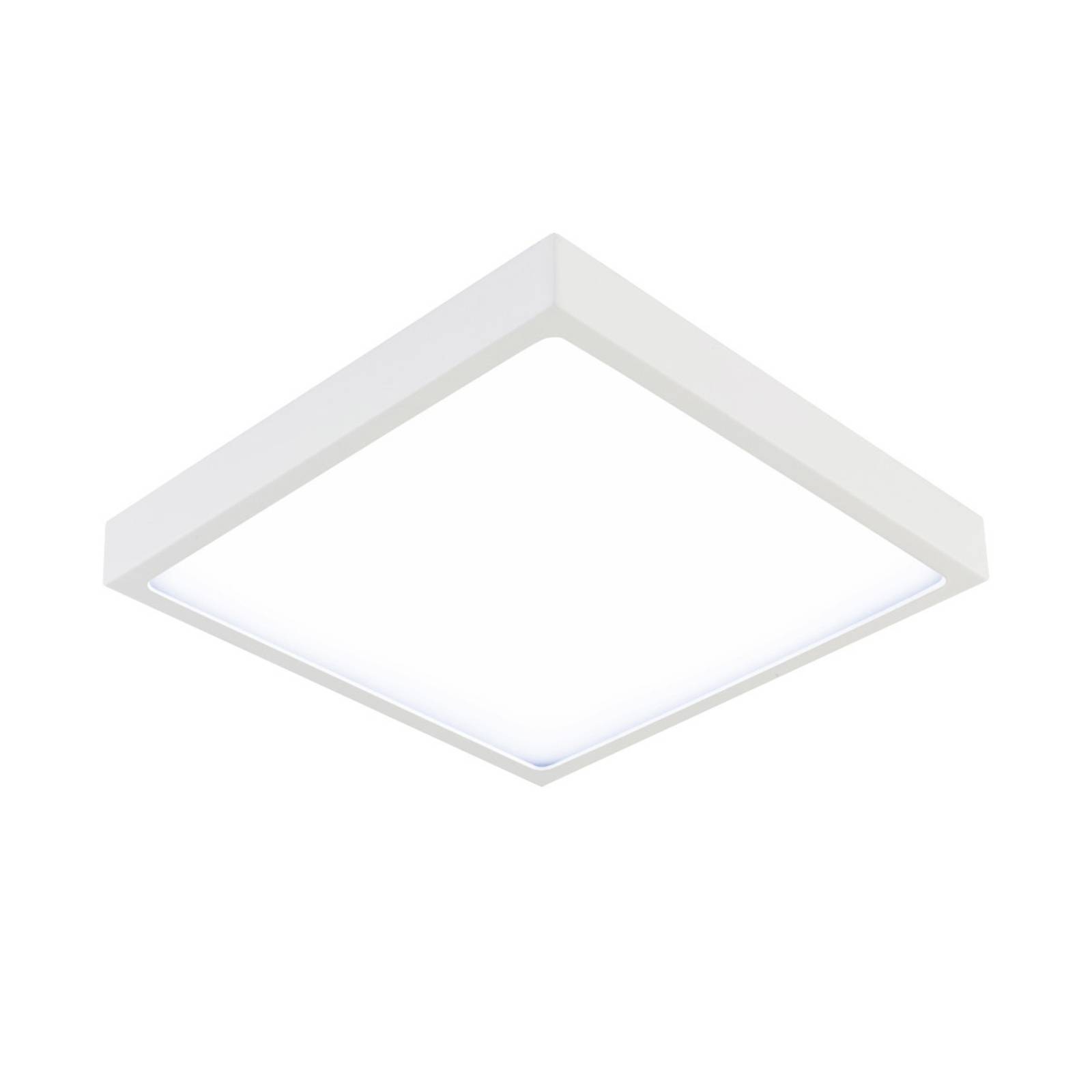 EVN Planus LED-Panel quadratisch 19,1cm 4.000 K von EVN