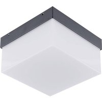 EVN WAQ54091502 LED-Außenwandleuchte 9W Anthrazit von EVN
