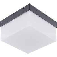 EVN WAQ54091540 LED-Außenwandleuchte 9W Anthrazit von EVN