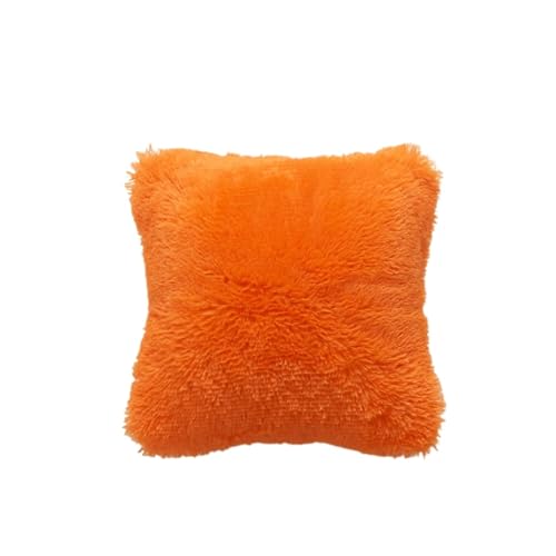 EVPCPWTYZY Der Plüschkissenbezug ist weich und bequem und einfarbig und eignet Sich for Schlafsofas und mehrere Szenen.(2) von EVPCPWTYZY