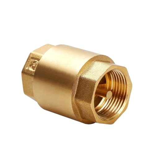1 stück 1/2 "NPT Messing Gewinde In-Line Frühling Rückschlagventil 20/25mm Durchmesser(1/2") von EVPEOETCPC