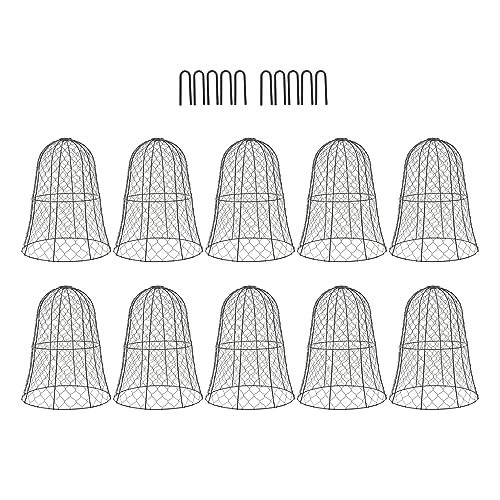 EVTSCAN 10 Packs Schwarze Gartenhähnchen -Draht -Cloche verdickte Baupflanze Protektor Cloche Decke von EVTSCAN